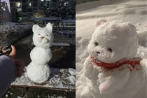 Ngắm nhìn những “cực phẩm” nhân ngày tuyết đầu mùa của netizen Hàn Hàn