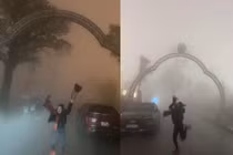 Đi du lịch Tam Đảo để chữa lành, du khách nhận kết hú hồn