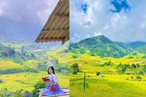 Lúa đã vào mùa, giới trẻ rủ nhau “xách balo lên” và đi Sapa
