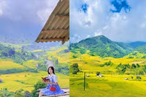 Lúa đã vào mùa, giới trẻ rủ nhau “xách balo lên” và đi Sapa