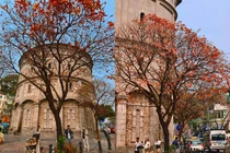 Tháp nước Hàng Đậu đẹp như trời Âu, giới trẻ mê mẩn check-in