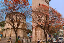 Tháp nước Hàng Đậu đẹp như trời Âu, giới trẻ mê mẩn check-in