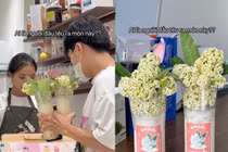 Trà sữa hoa sữa và loạt hương vị khác gây ám ảnh