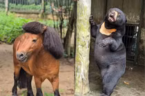 Thảo Cầm Viên sở hữu dàn “idol” khiến cõi mạng phát cuồng 