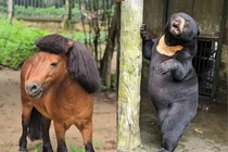 Thảo Cầm Viên sở hữu dàn “idol” khiến cõi mạng phát cuồng 