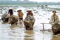 Loạt ảnh miền Bắc Việt Nam những năm 1972-1973