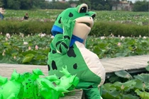 “Ếch báo” chụp sen sống ảo ở Ninh Bình và cái kết nhớ đời