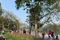 Nghỉ Tết Dương lịch, hồ Gươm “một mét vuông chục nàng thơ“