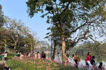 Nghỉ Tết Dương lịch, hồ Gươm “một mét vuông chục nàng thơ“