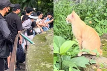 Đi chơi Thảo Cầm Viên, khách tham quan bất ngờ với con vật này