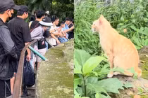 Đi chơi Thảo Cầm Viên, khách tham quan bất ngờ với con vật này