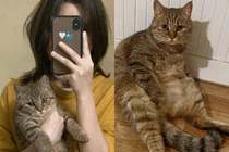 Cô gái gửi mèo cho em trai nuôi, bố giết thịt mời hàng xóm