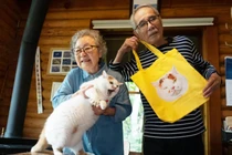 Chú mèo hot nhất MXH bởi thái độ “lồi lõm” với chủ nhân