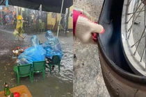 Netizen hài hước truyền tay tư liệu nghỉ học, nghỉ làm ngày mưa gió