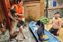 Tan chảy trước loạt ảnh giải cứu động vật mùa lũ