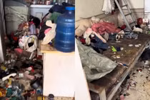 Chủ phòng trọ hoảng hồn khi kiểm tra phòng của khách thuê