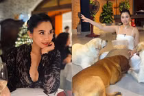 Nhan sắc “phú bà bán gạo” chi 65 triệu mỗi tháng nuôi cún cưng