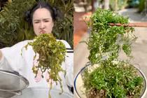 Mạng xã hội rần rần trước trend lá chuối chiên giòn rụm