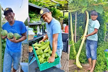 Ông bố Việt mang rau củ quê hương vào bữa ăn gia đình