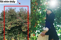 Không thể tin vào mắt với những bức ảnh “nhìn thấy và chụp được“