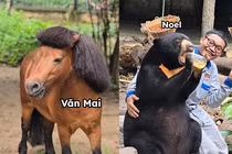 Dàn “idol giới trẻ” với những cái tên độc lạ ở Thảo Cầm Viên