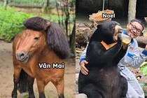 Dàn “idol giới trẻ” với những cái tên độc lạ ở Thảo Cầm Viên