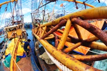 27 tỉnh ven biển rà soát tàu vỏ thép đóng mới