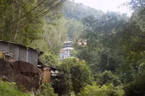 Thực hư 4 gốc kỳ nam được Bà Chúa trấn yểm cho "xứ trầm hương"?