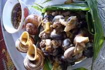 Hít hà ốc thuốc vị cây rừng 