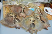 Những phụ nữ khốn khổ vì cơ thể mùi tanh như cá thối 