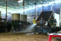 Lộ đường dây làm trà “cứt trâu“