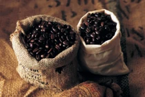 Tác dụng chữa bệnh từ hạt cà phê bạn nên biết