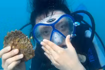 Trả 620.000 đồng, được lặn biển mò ngọc trai Nha Trang