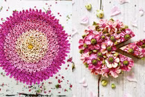 Trời 41 độ ngắm bánh hoa chay thổi bay nắng nóng