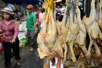 Những thực phẩm bị phát hiện tẩm chất vàng ô nhiều nhất