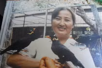 Tuyệt kỹ nuôi chim nói tiếng người để thi Hội hoa Xuân