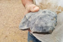 Thiên thạch 4,5 tỷ năm rơi ở Úc hé lộ nguồn gốc hệ Mặt Trời