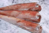 Cách chọn mực trứng, mực nang và mực khô chuẩn nhất