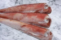 Cách chọn mực trứng, mực nang và mực khô chuẩn nhất