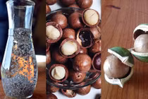 Bài thuốc tốt từ các loại hạt chữa bệnh