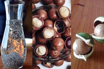 Bài thuốc tốt từ các loại hạt chữa bệnh