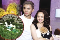 Ái ngại văn hóa ứng xử của sao Việt 