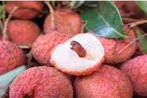 Sai lầm chết người cho trẻ ăn vải khi đói