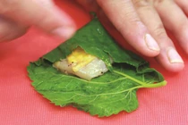 Những loại thực phẩm gây mất sữa cho sản phụ