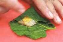 Những loại thực phẩm gây mất sữa cho sản phụ