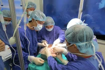 Thêm nhiều ca ghép tạng thành công ở viện Việt Đức