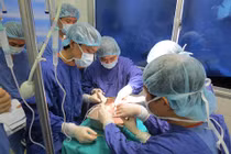 Thêm nhiều ca ghép tạng thành công ở viện Việt Đức