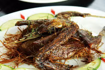 Địa điểm ăn ngon vui chơi thoả sức thết đãi chị em 20/10