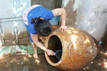 Cách phòng tránh bệnh sốt xuất huyết để giữ mạng sống