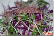 Món ăn ngon từ các loại rau mầm